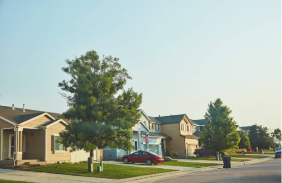 American Suburban Lifestyle: Single-Family Homes, Commuting, and Community Ecology in the American Dream